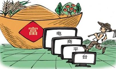 農村電商 前景廣闊，技能為帆